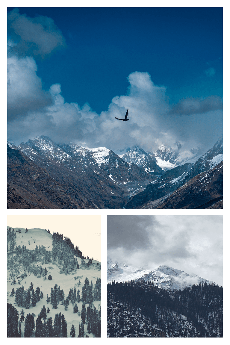 Manali Mountain Memories