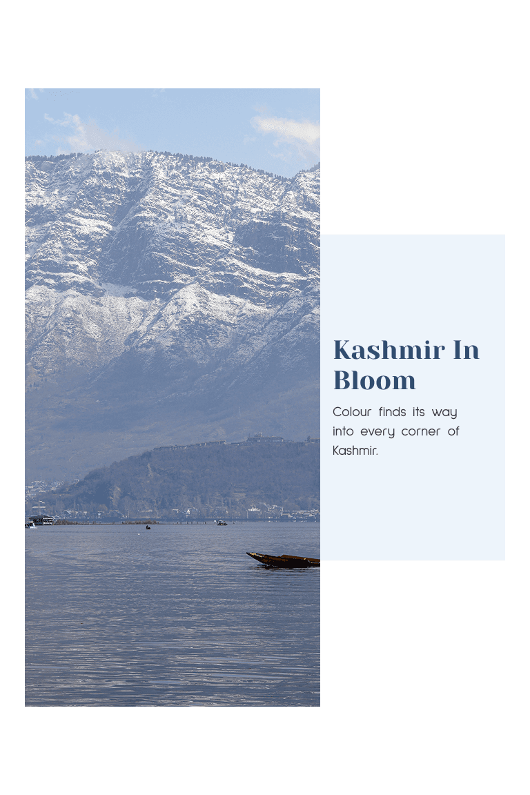 Kashmir Trails