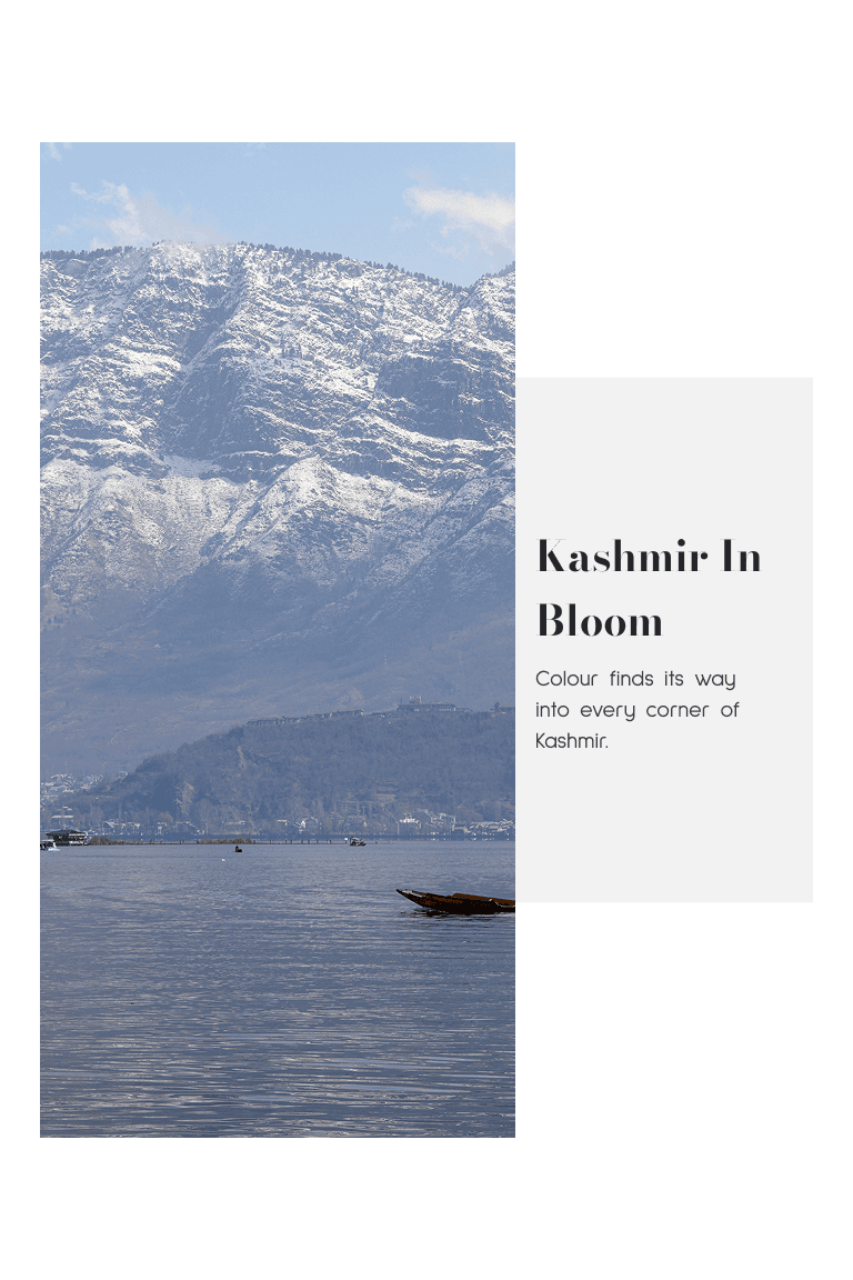 Kashmir Glow