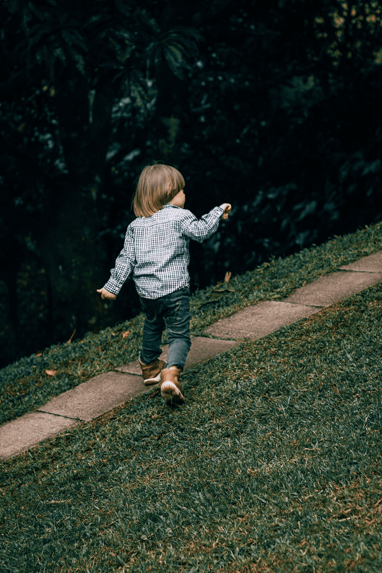 Little Wonders