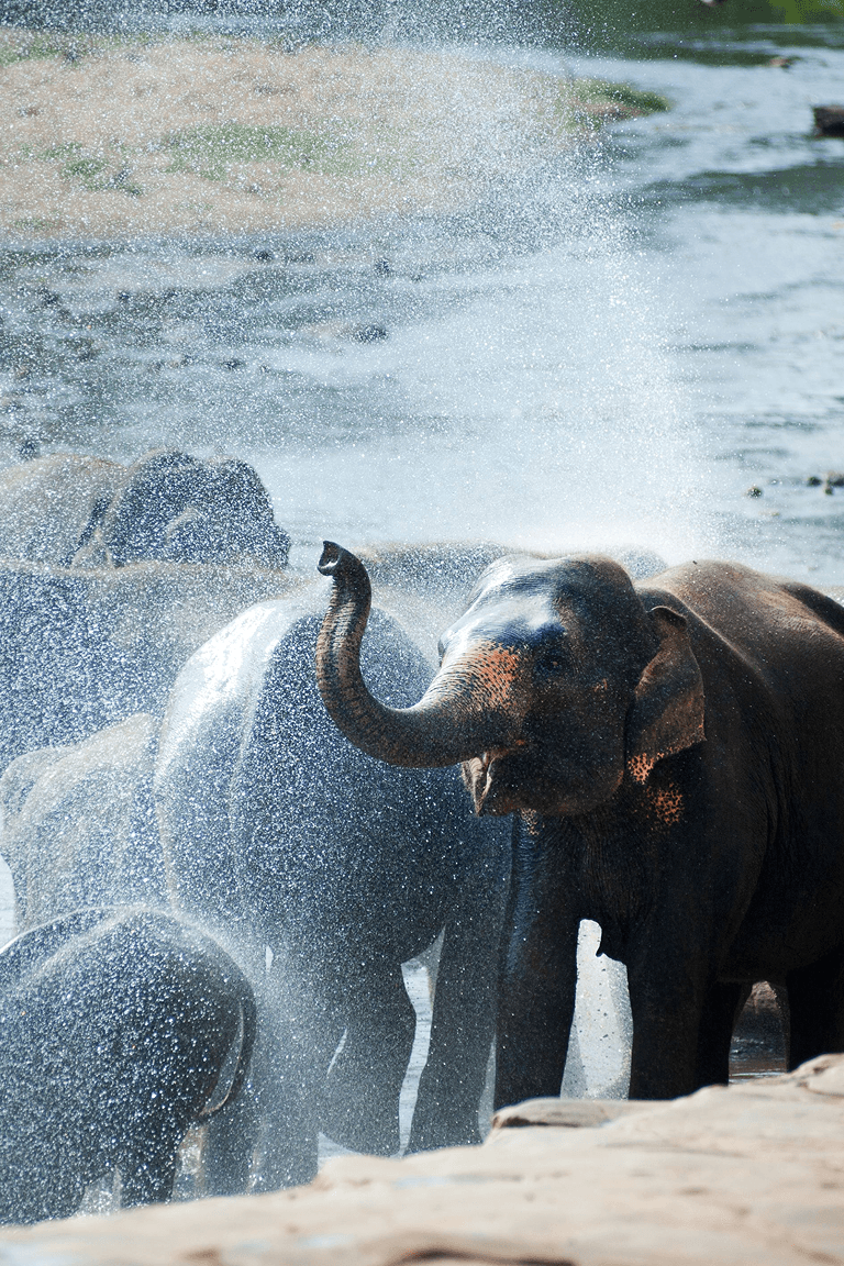 Sri Lanka - Island of Stories