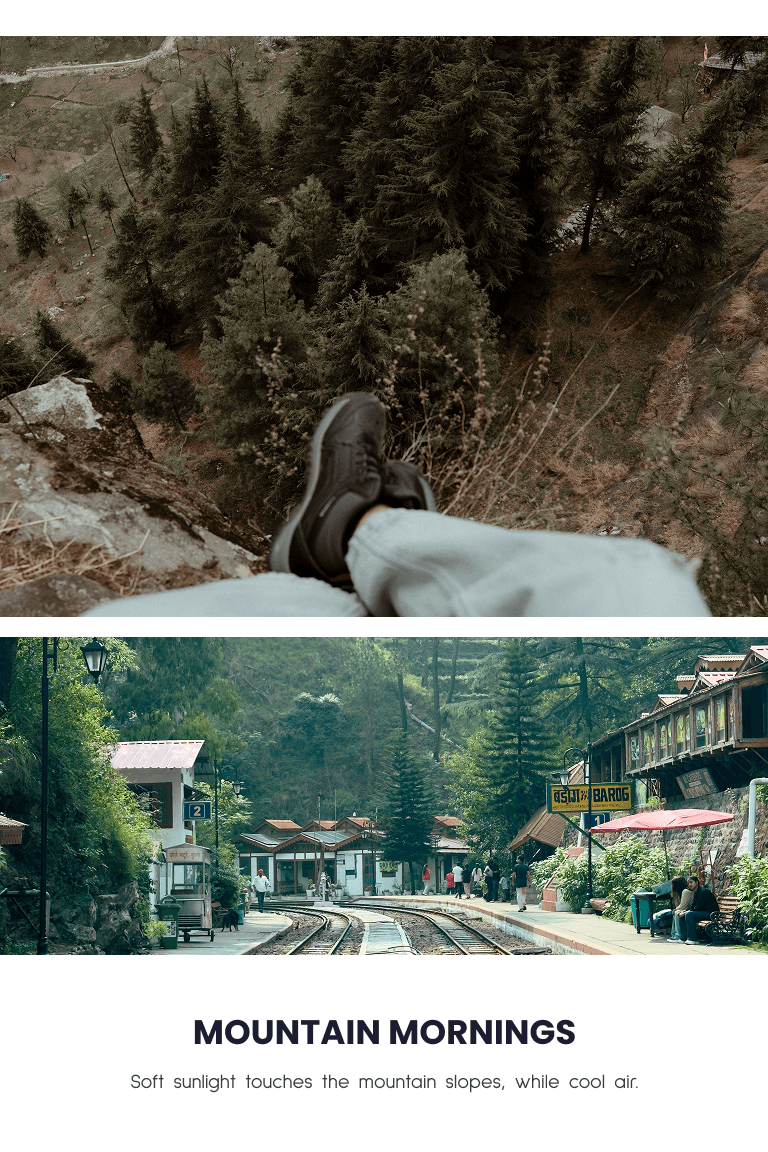 Shimla Escape