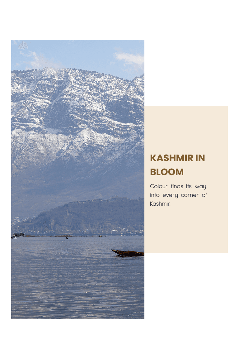 Kashmir Moments