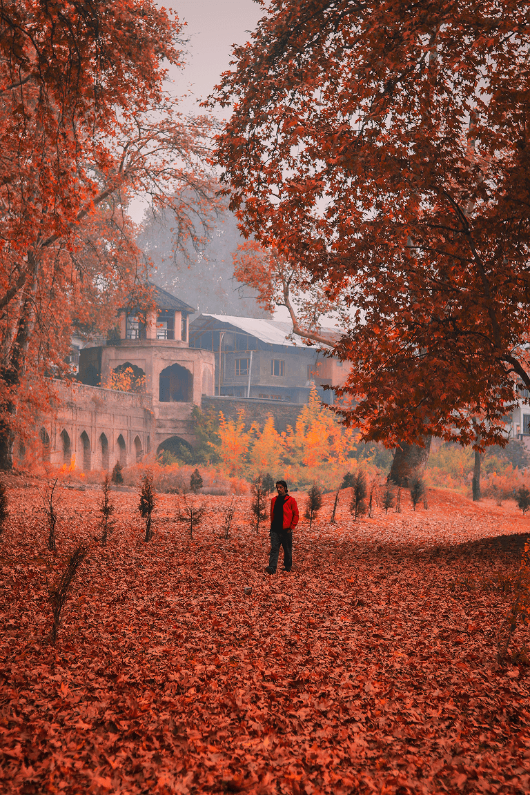 Kashmir Bliss