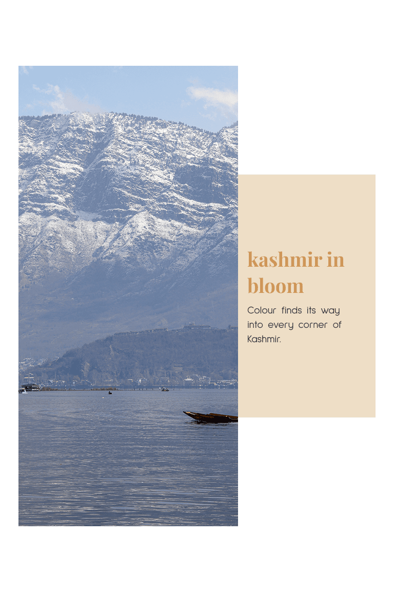Alpine Kashmir