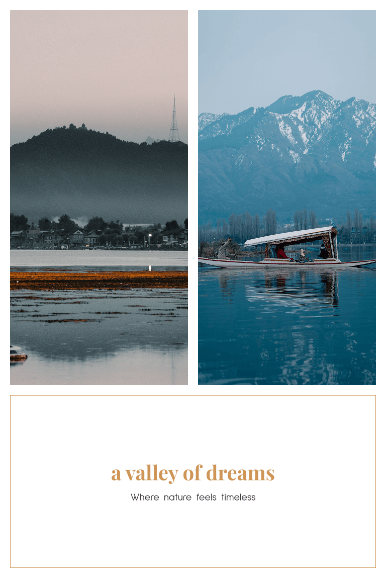 Alpine Kashmir
