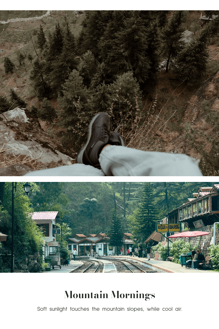 Shimla Stories