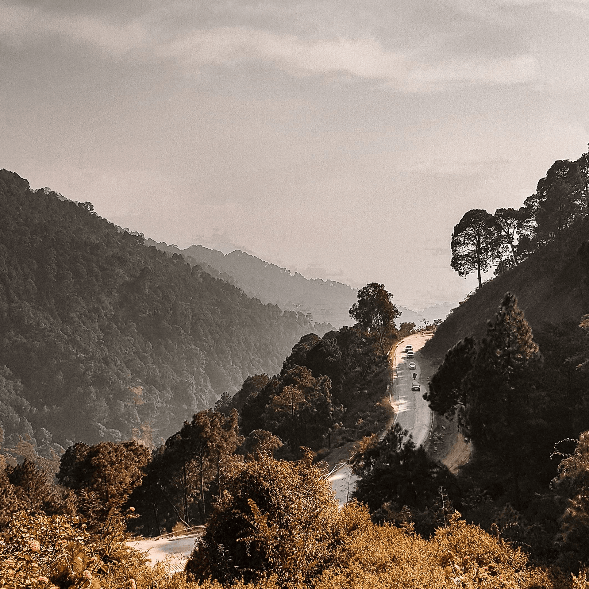 Himalayan Trails