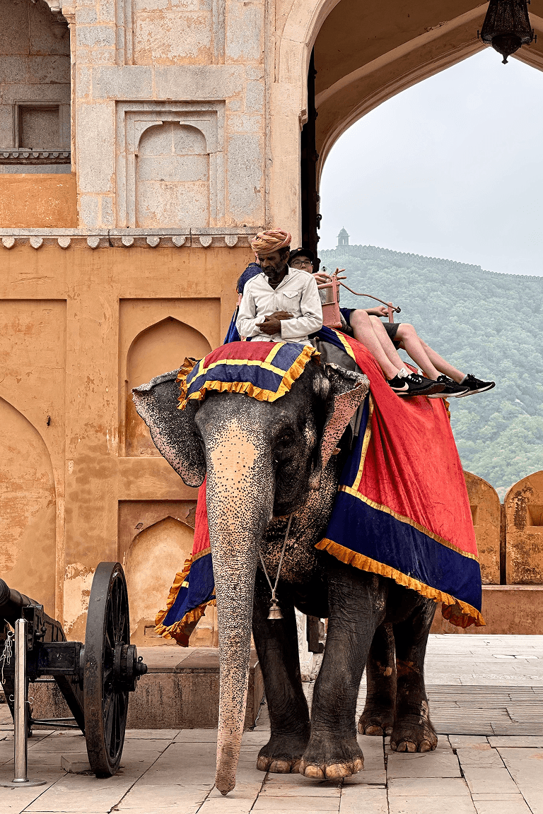 Rajasthan Vista