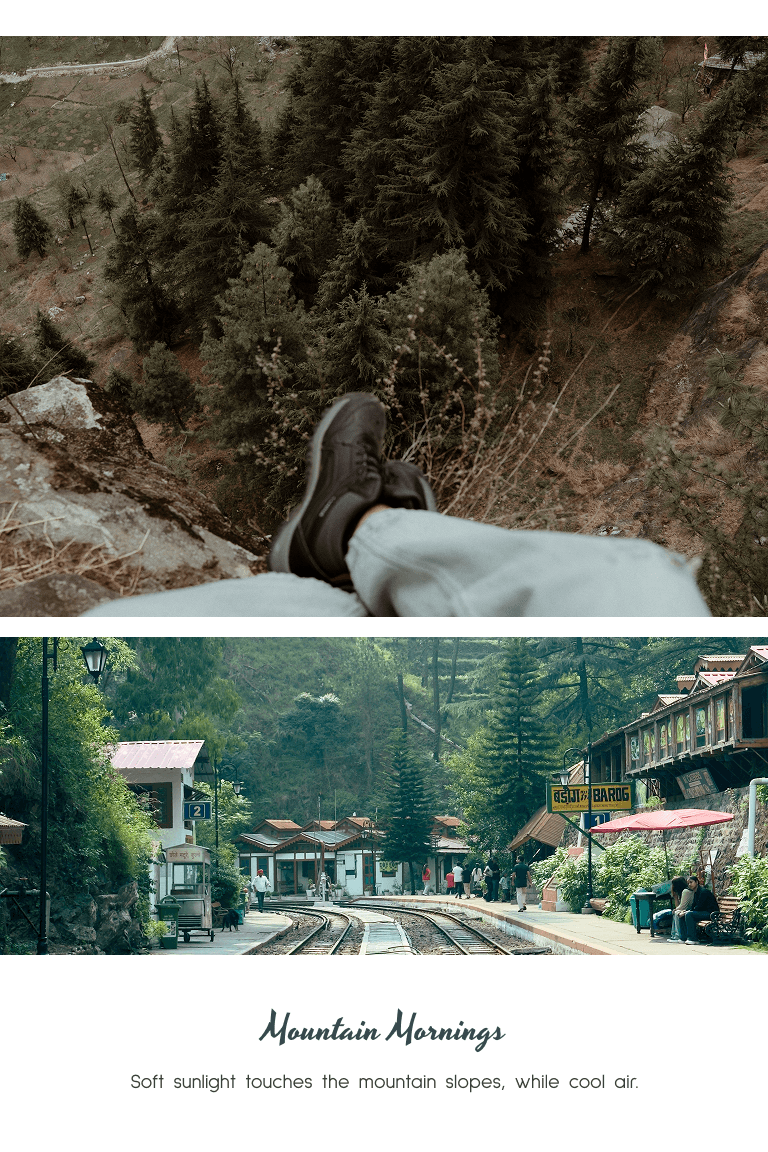 Shimla Charm
